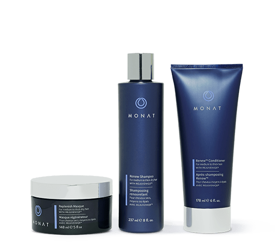Trockenes Haar — Produktset